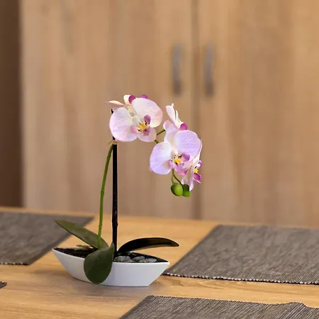 아파트 Citywohnung 테트낭